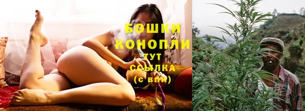 трава Вяземский
